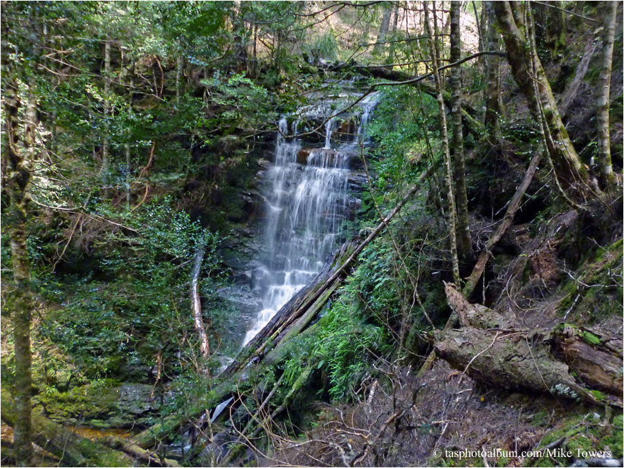 Ladder Creek in Lees Paddocks